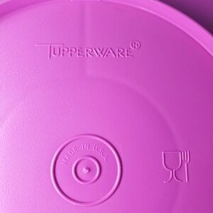 VTG Tupperware Divided‎ Serving Tray Platter Plate Snack Keeper Container